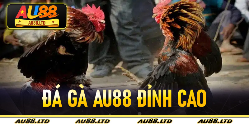 Đá Gà Au88